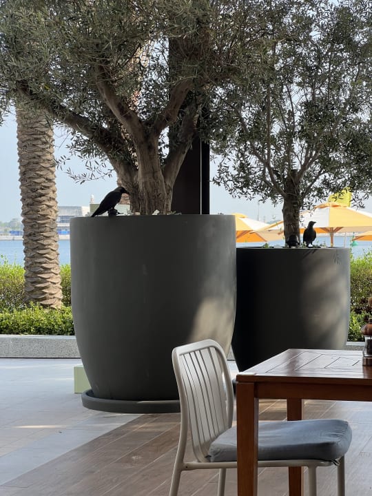 Gartenanlage Vida Beach Resort Umm Al Quwain