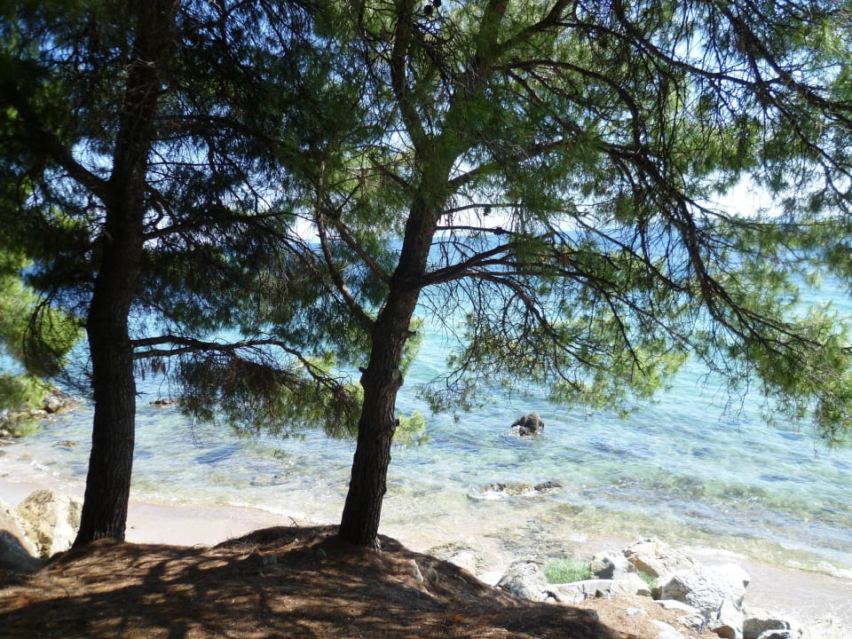 Strand Blue Dolphin Resort Hotel