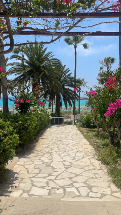 Gartenanlage Hotel Nissi Beach Resort