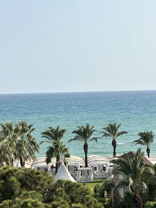 Strand Papillon Ayscha