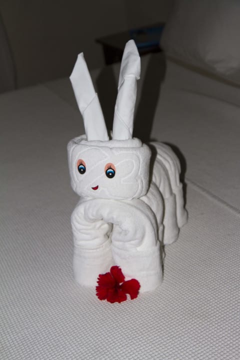 Jeden Tag was Neues Allegro Playacar