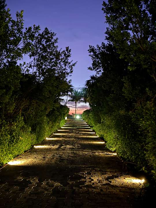 Gartenanlage TRS Yucatan Hotel - Adults only