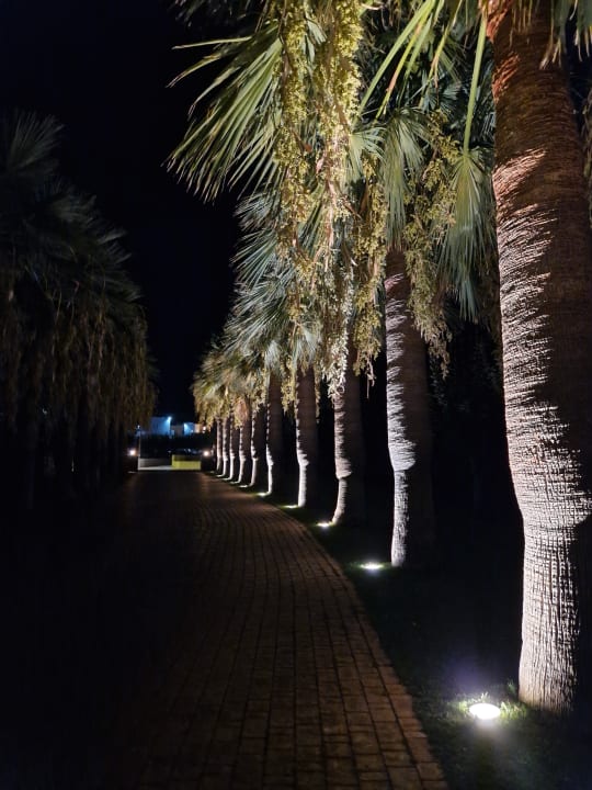 Gartenanlage Calimera Sirens Beach