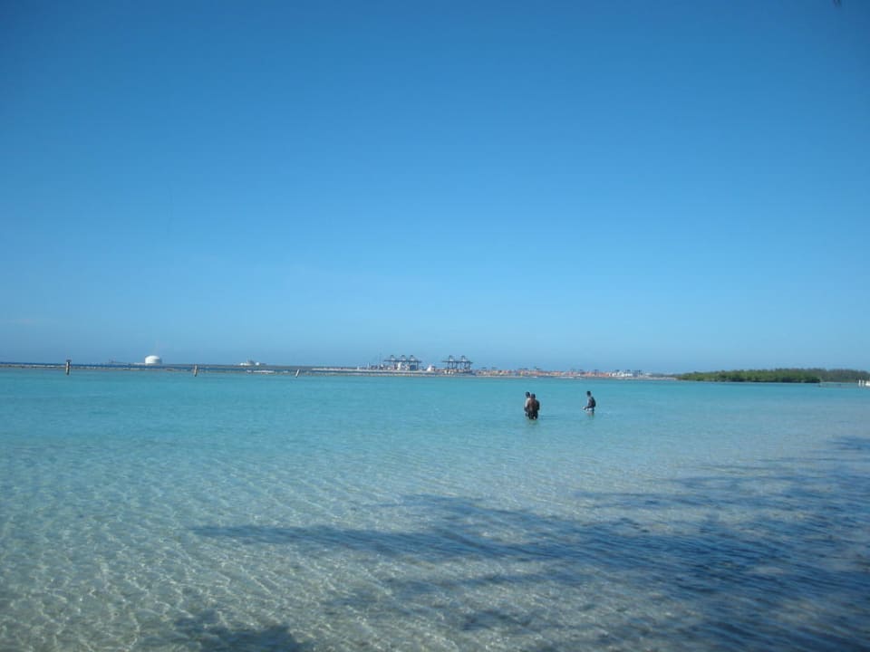 Wasser whala!boca chica