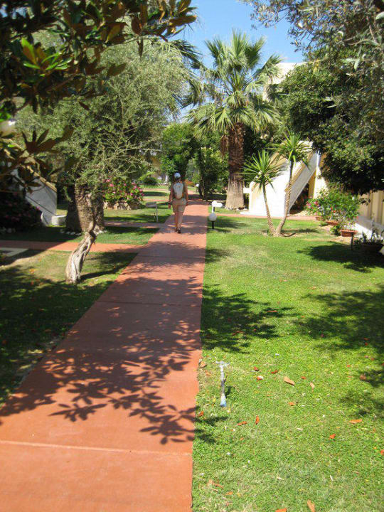 Gartenanlage Hotel Hotel Golden Odyssey