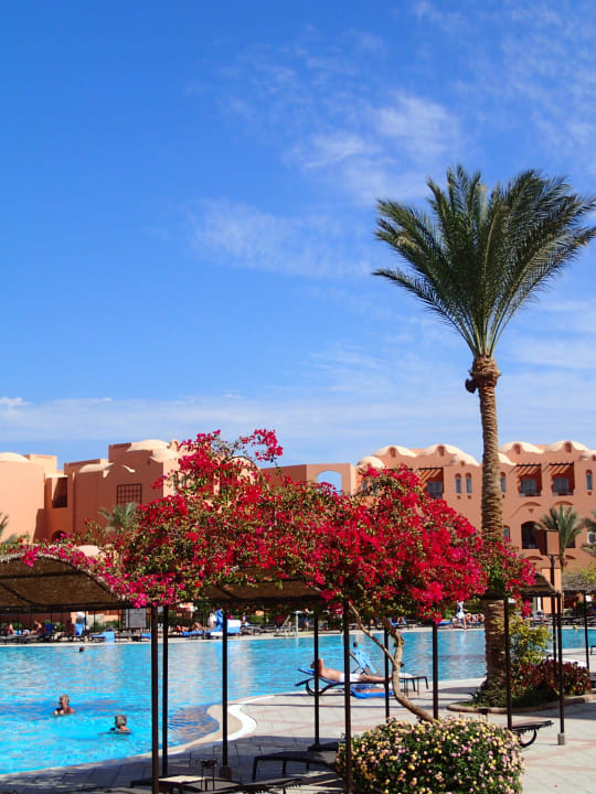 Pool Jaz Makadi Oasis Resort