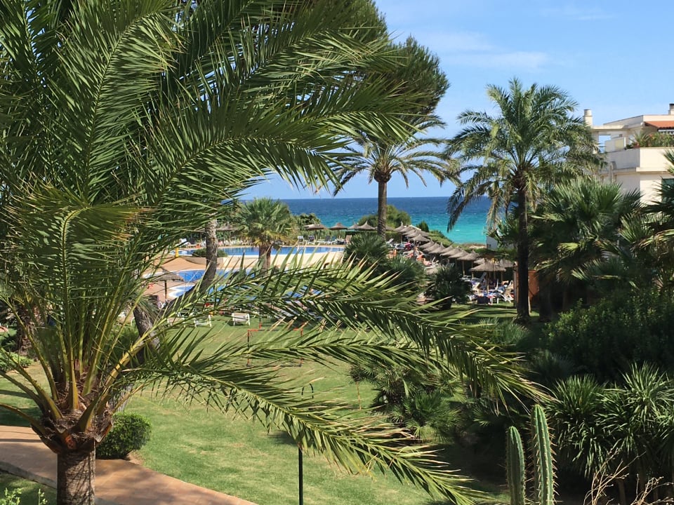 Gartenanlage Grupotel Natura Playa