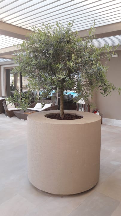 Lobby Ikos Dassia