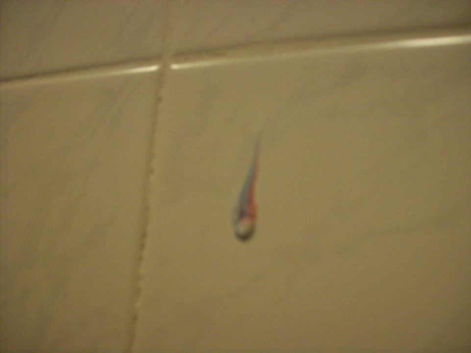 Lecker Nerton Hotel - Erwachsenenhotel ab 16 Jahren