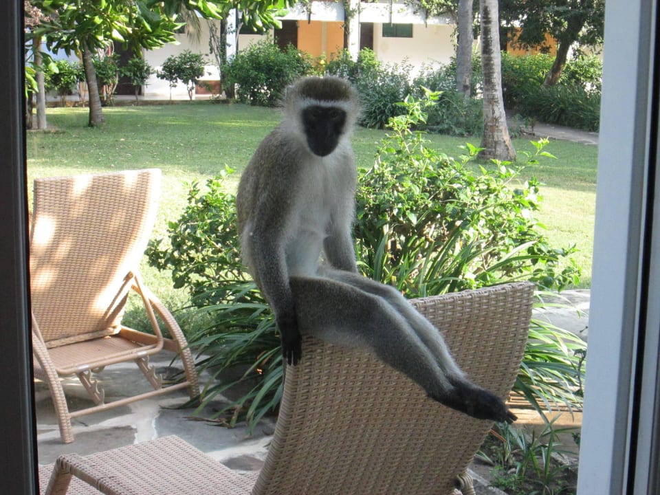 Ich fühle mich wohl mit euch.. Hotel Southern Palms Beach Resort