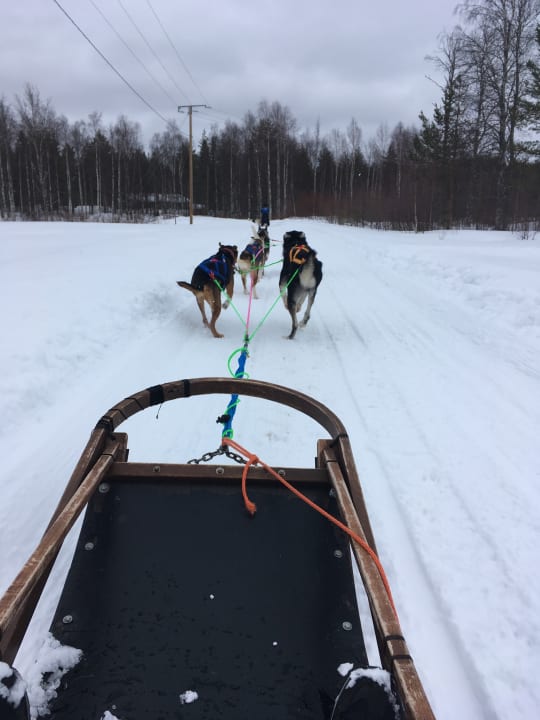 Sport & Freizeit Apukka Resort