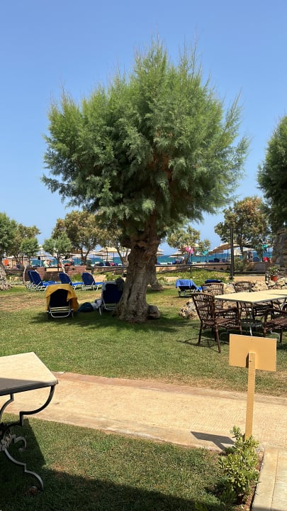 Gartenanlage Anissa Beach & Village