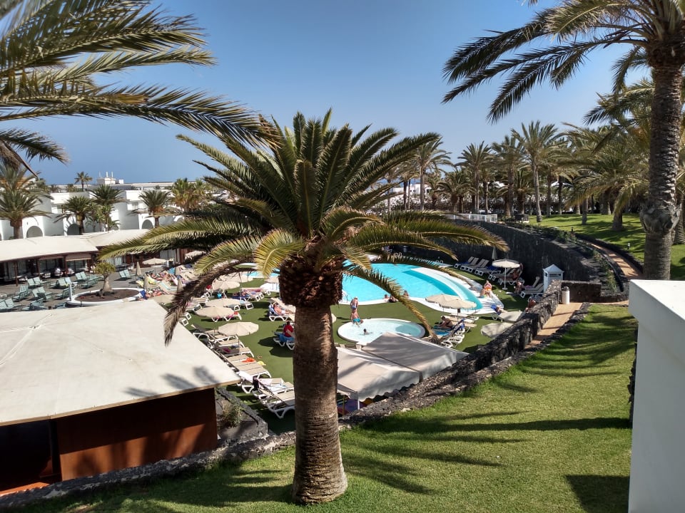 Pool Relaxia Olivina