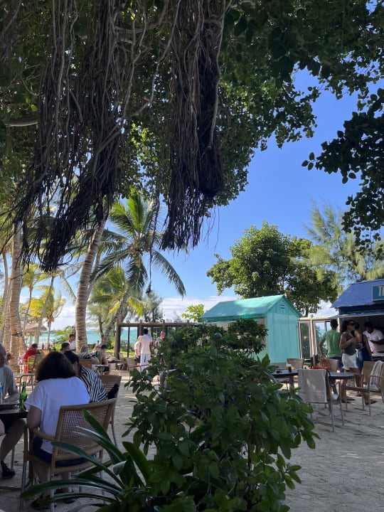 Gastro Lagoon Attitude - Adults only