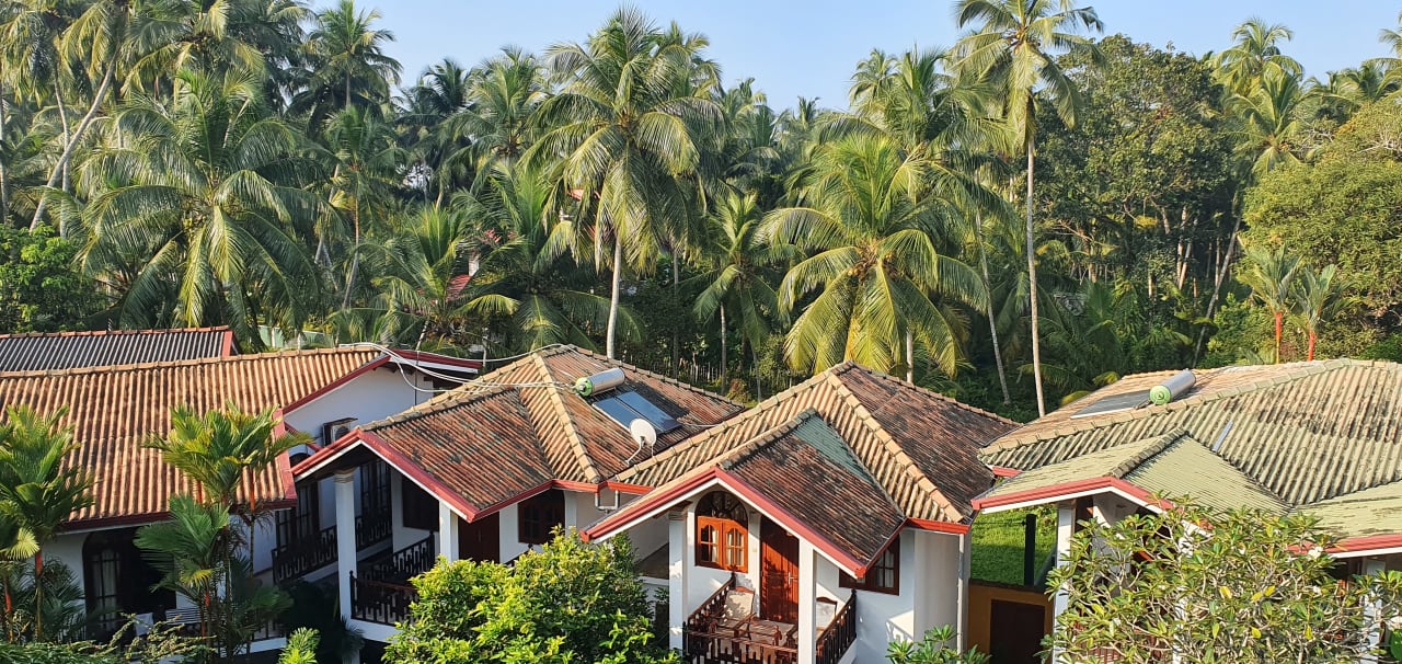 Ausblick Hotel Bentota Village