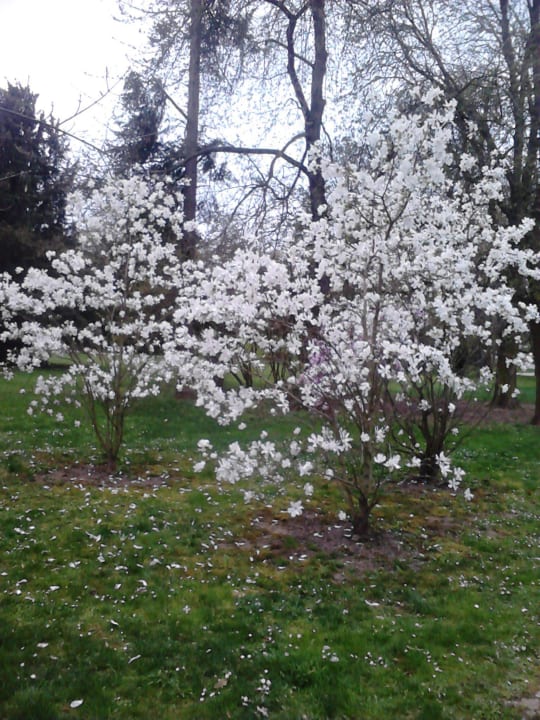 Park direkt vor dem Hotel Dolce by Wyndham Bad Nauheim