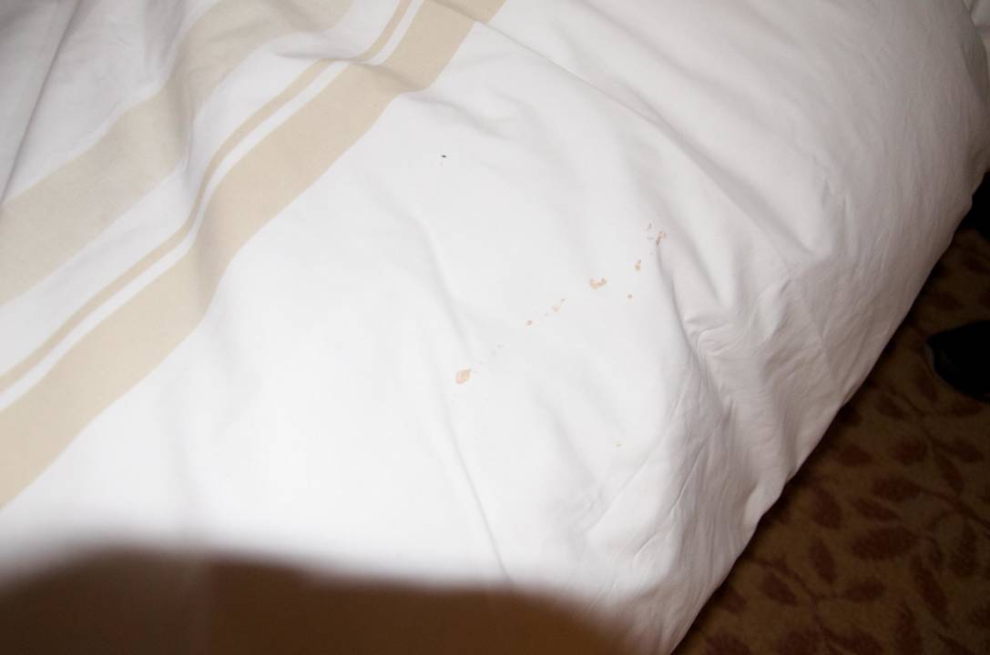 Mehr Flecken The American Hotel Atlanta Downtown - a Doubletree by Hilton