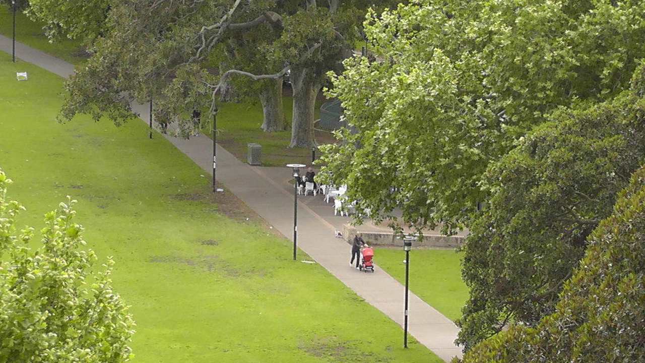 Blick in den Park Hotel Vibe Rushcutters