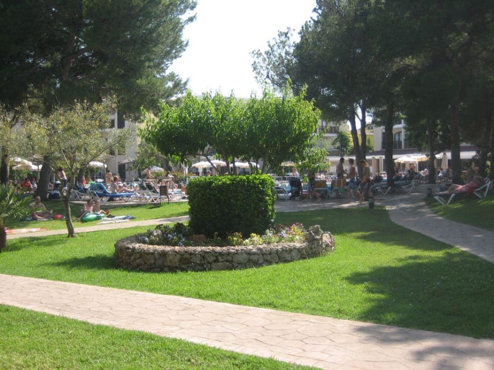 Poolbereich/Liegewiese Protur Floriana Resort Aparthotel