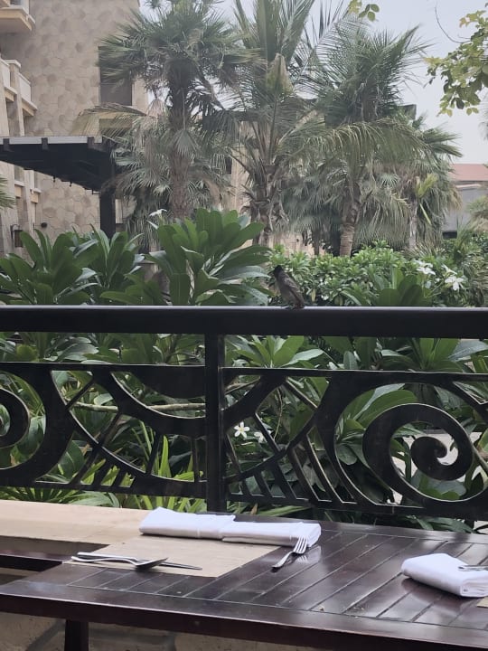 Gastro Sofitel Dubai The Palm Resort & Spa
