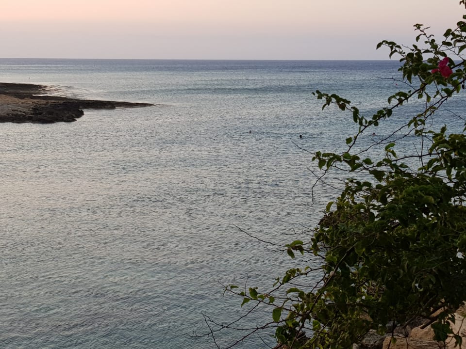 Strand Crystal Springs Beach Hotel