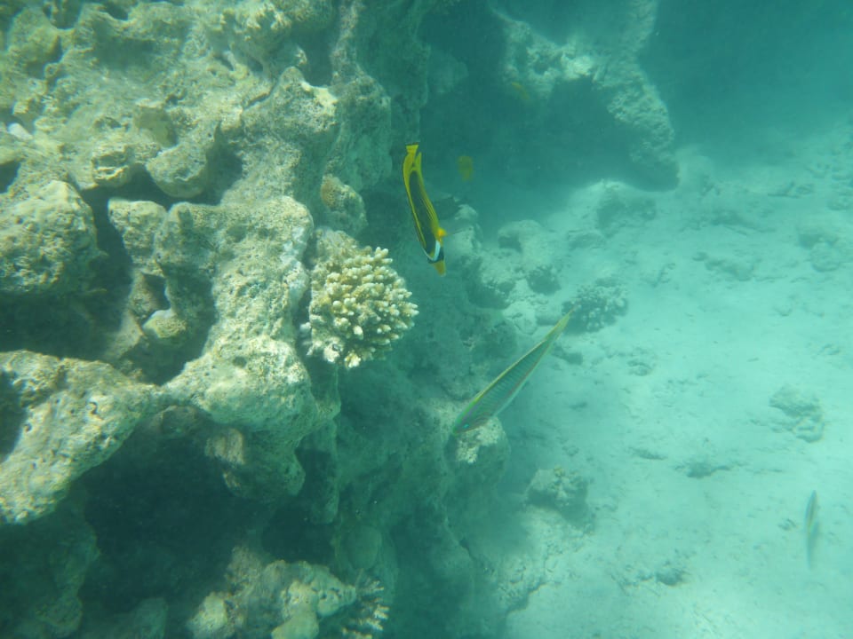 Strand Makadi Spa - Adults only