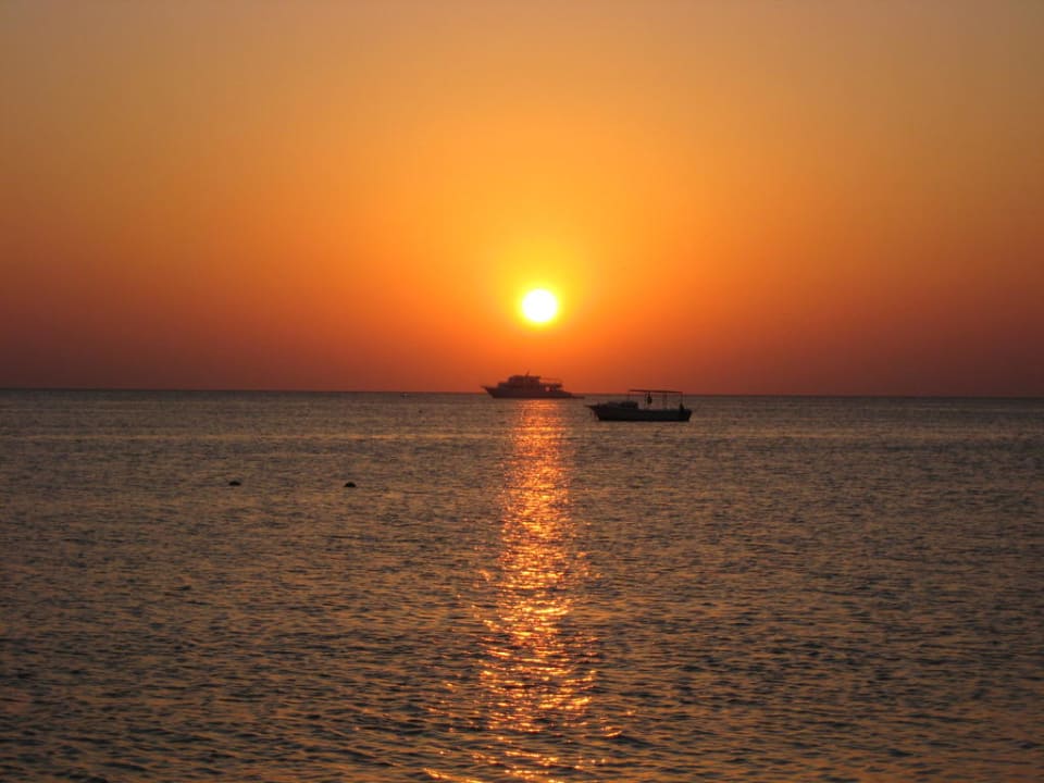 Sonnenaufgang Jaz Makadi Blue - TUI BLUE Makadi - Adults Friendly 16 Years Plus