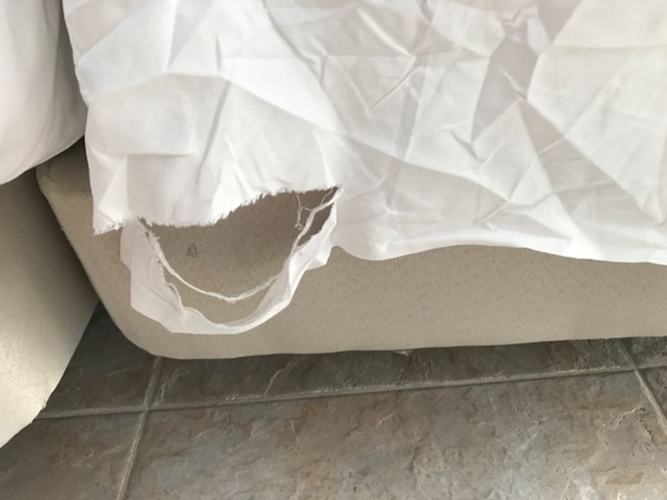 Zimmer Club Jandia Princess