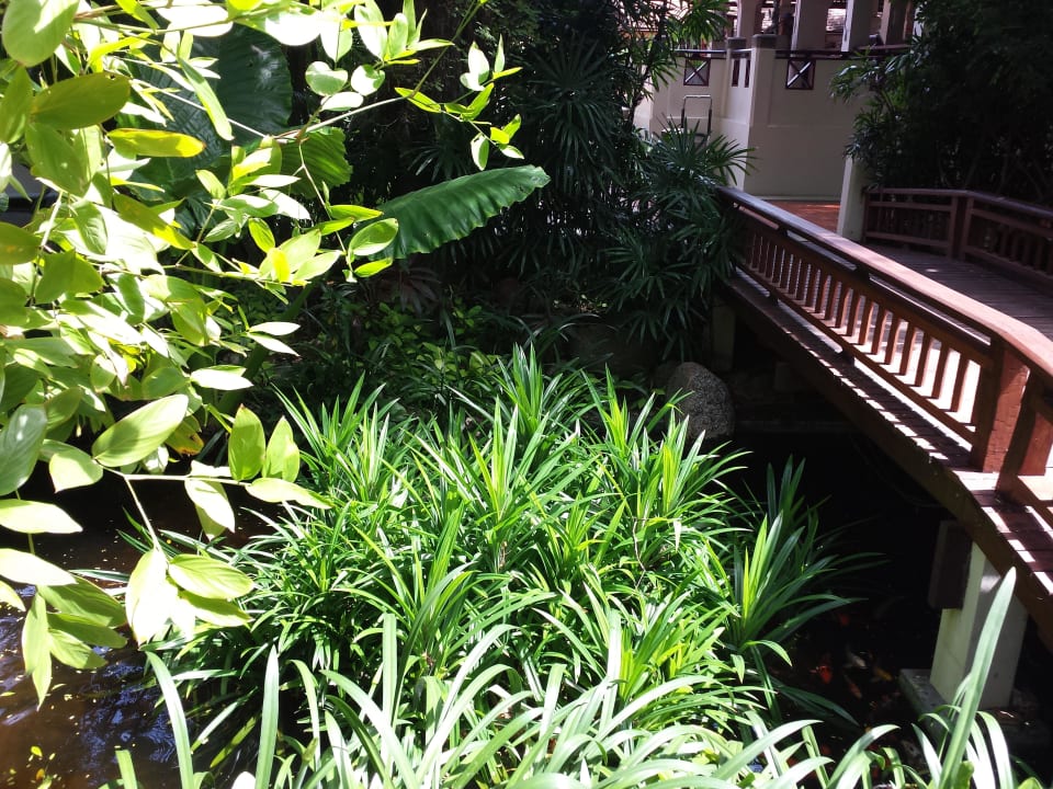 Teiche im Garten Chaweng Regent Beach Resort