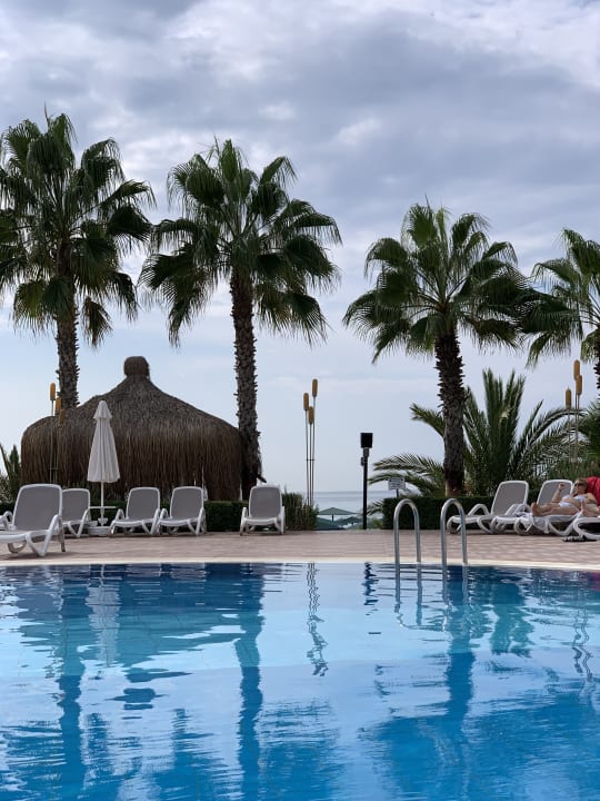 Pool Paloma Oceana