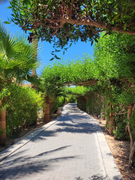 Strand Jaz Makadi Oasis Resort