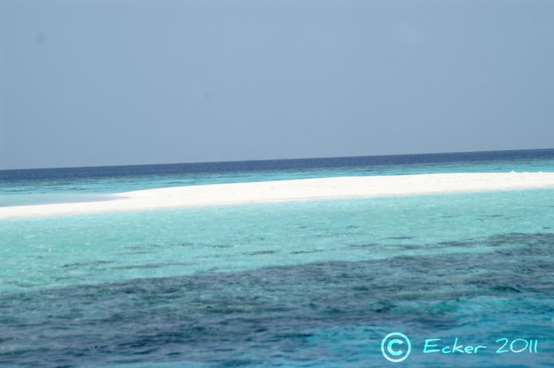 Sandbank Summer Island Maldives