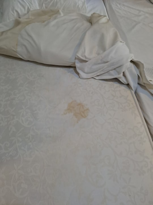 Zimmer Anavadia Hotel