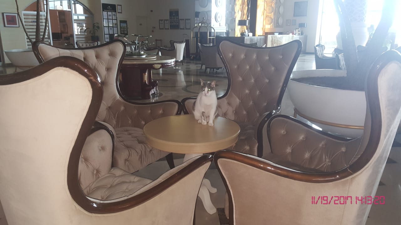 Lobby Castival Hotel