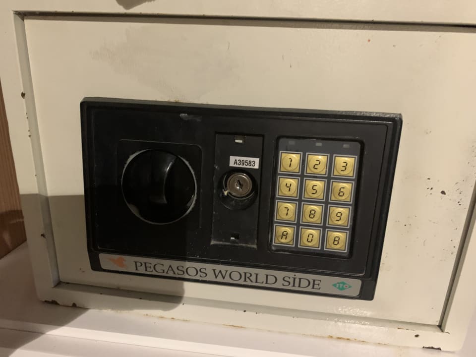 Zimmer AQI Pegasos World