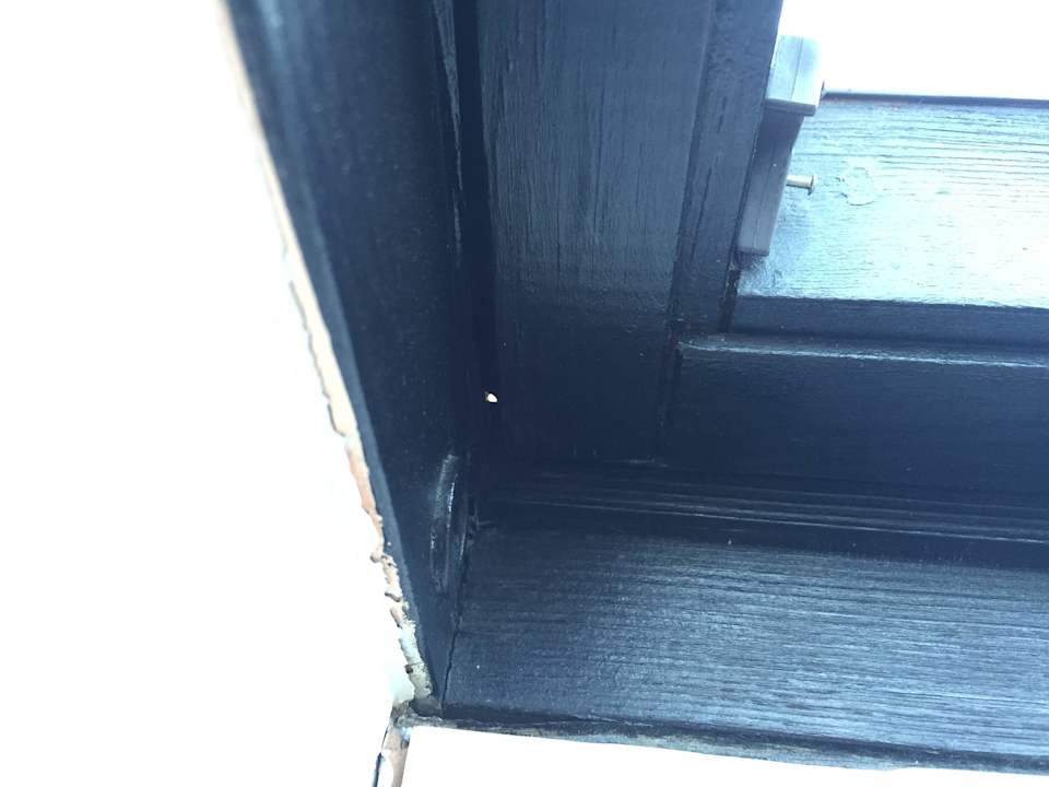 Frischluftzufur?! Hotel Nova