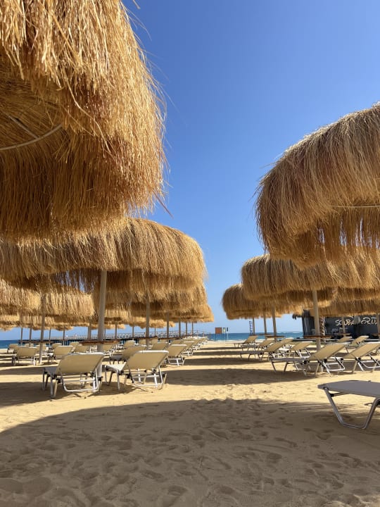 Strand JAZ Elite Amara