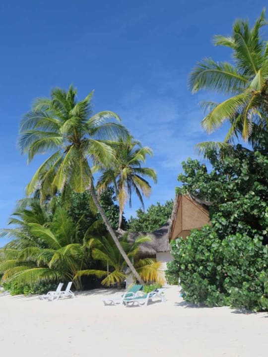 Blick zu einem Strandbungalow Safari Island Maldives