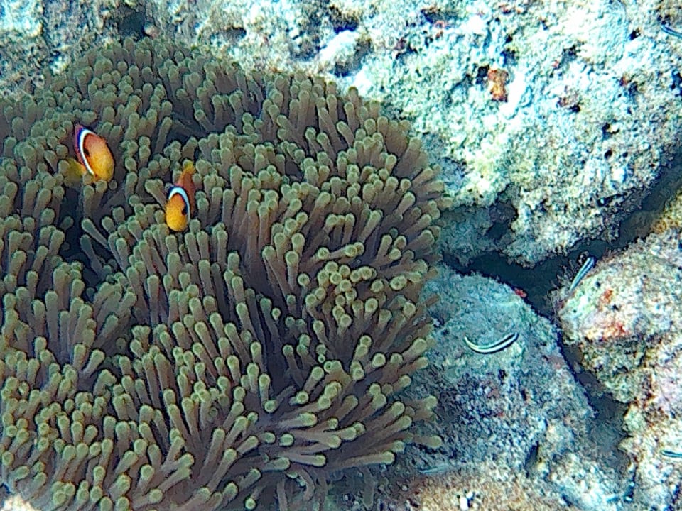 Sport & Freizeit Embudu Village