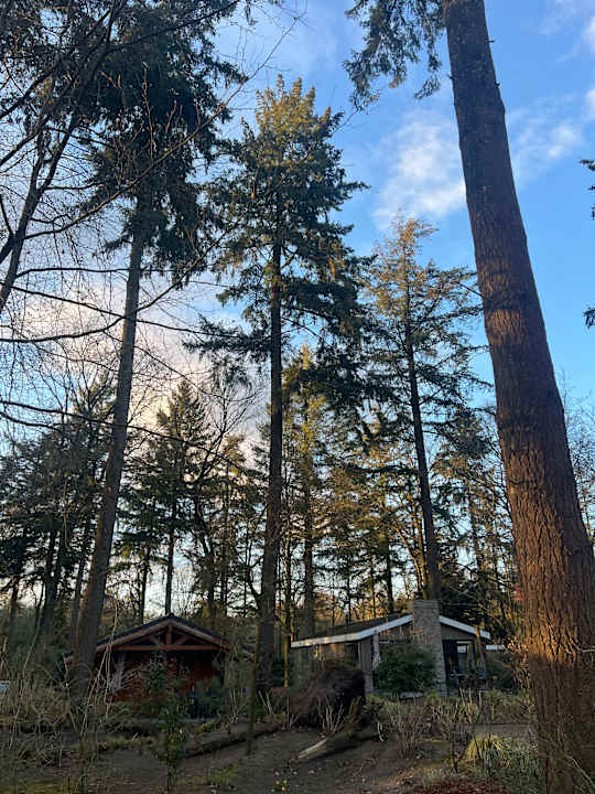 Außenansicht EuroParcs De Utrechtse Heuvelrug