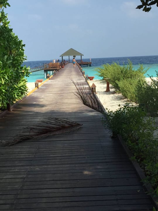 Nordpier; abends Fischfütterung Adaaran Select Meedhupparu Island Resort - Premium All Inclusive