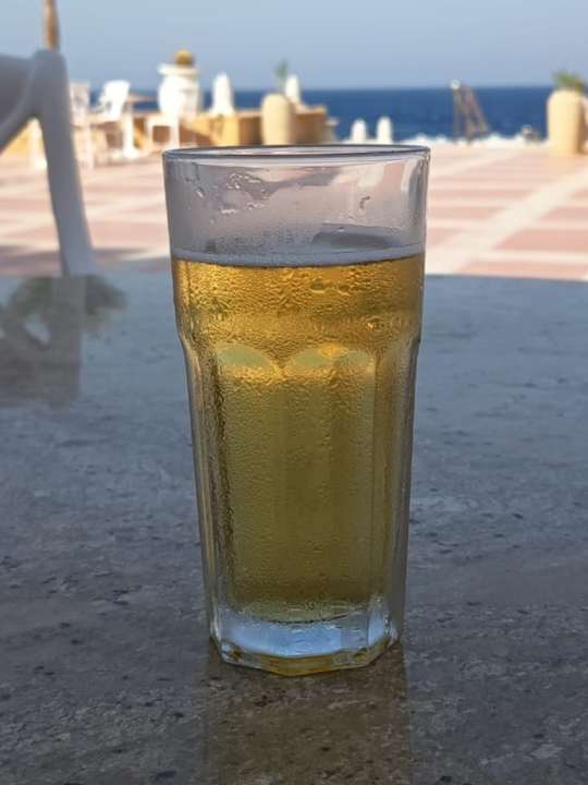 Gastro JAZ Neo Reef Marsa