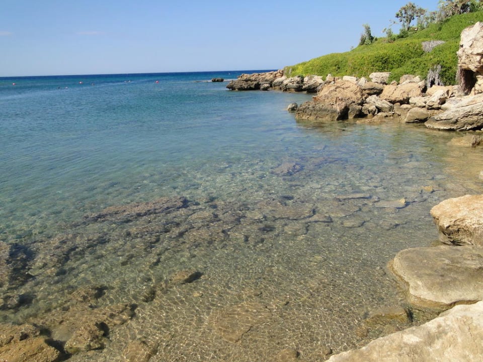 Crystal Springs Beach Hotel Crystal Springs Beach Hotel