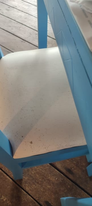 Pool Viva V Samana by Wyndham – Adults Only