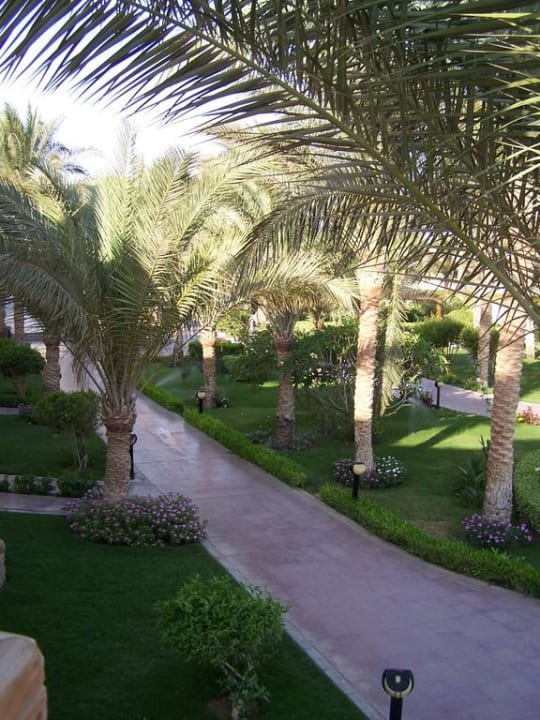 Zahrada Palm Beach Resort