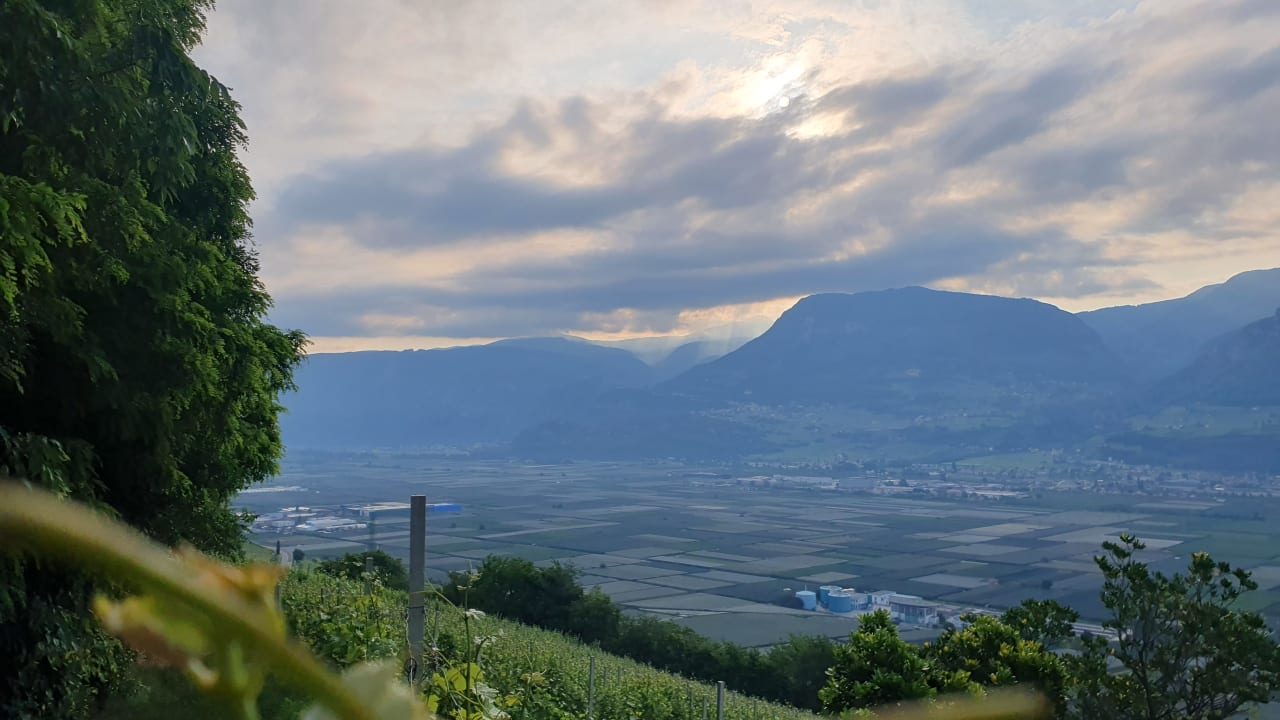 Ausblick Gasthof Hotel Terzer