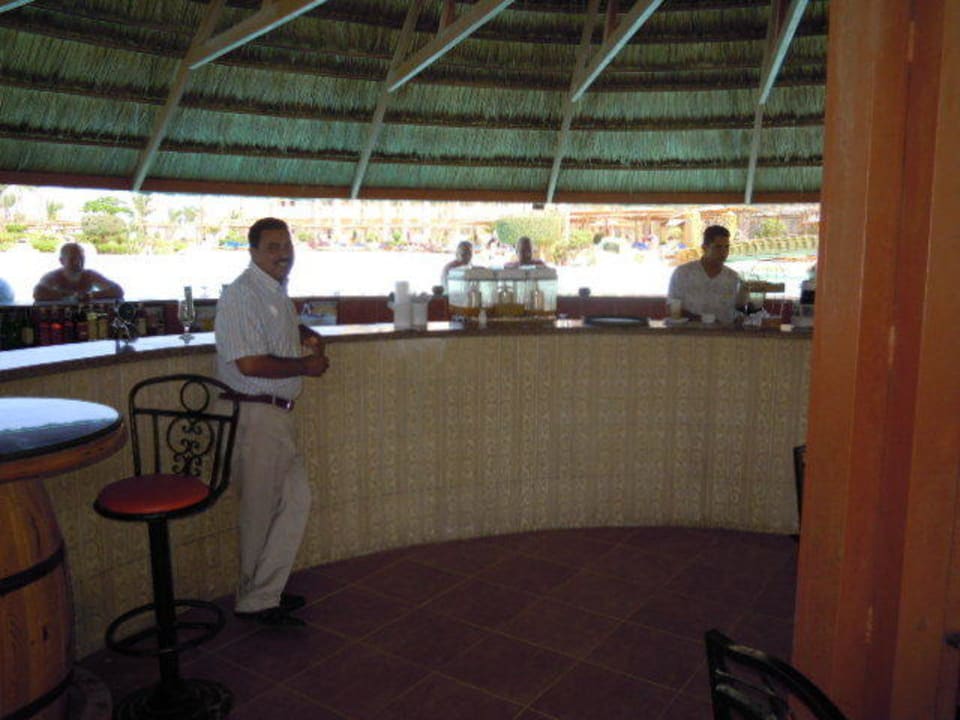 Poolbar Pickalbatros Palace Resort