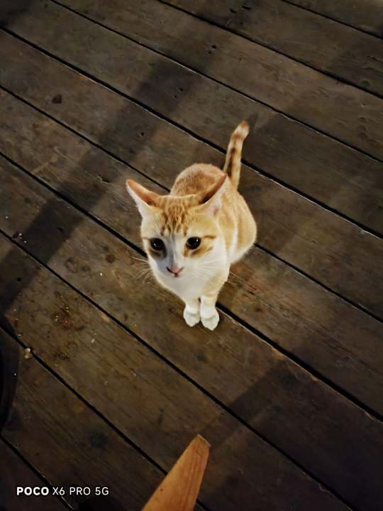 Sonstiges Iberotel Casa Del Mar Resort