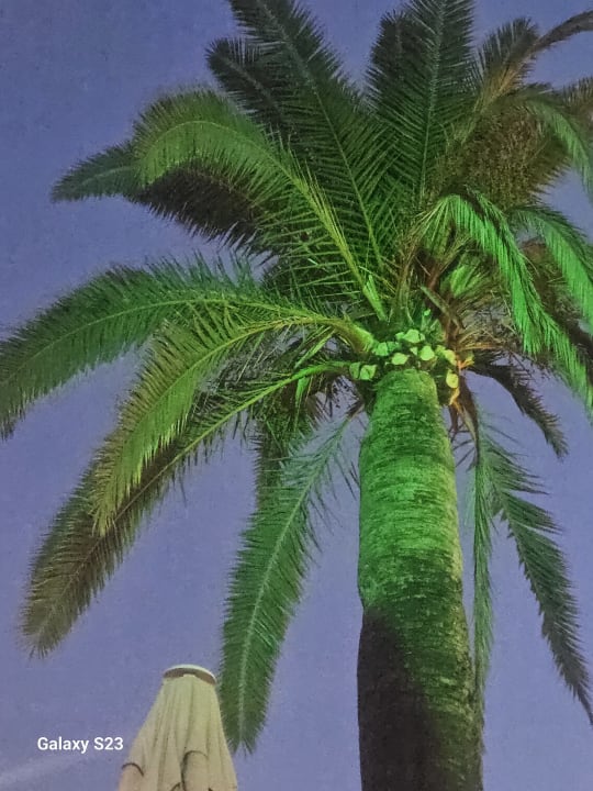 Pool allsun Hotel Bahia del Este