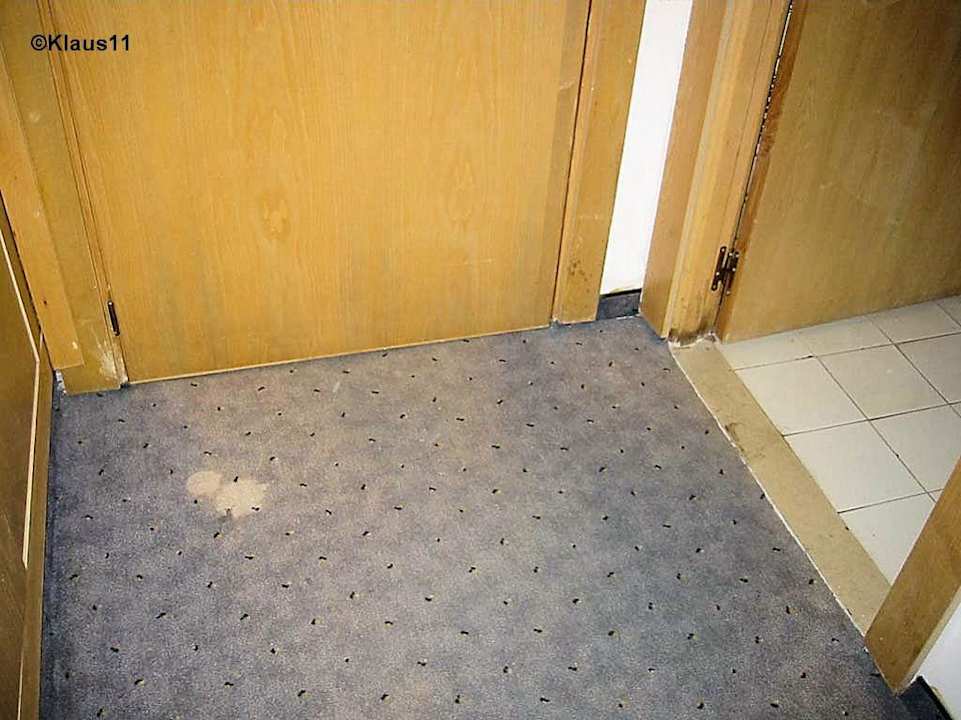 Zimmer Mahdia Beach & Aquapark